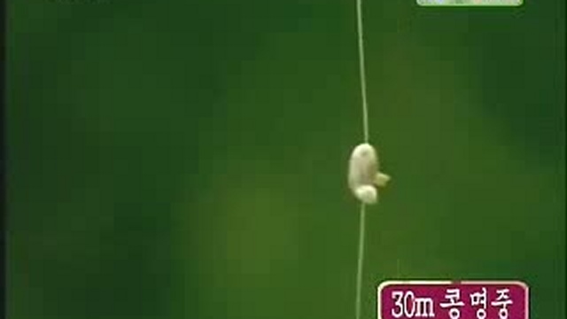 стрельба из лука