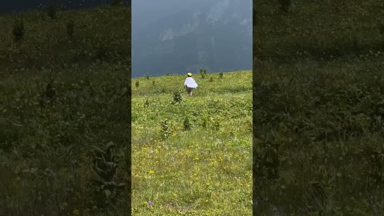 Работа студента курса «УВИДЬ. СНИМИ. СМОНТИРУЙ». #монтажвидео #видеограф #reels #instagram