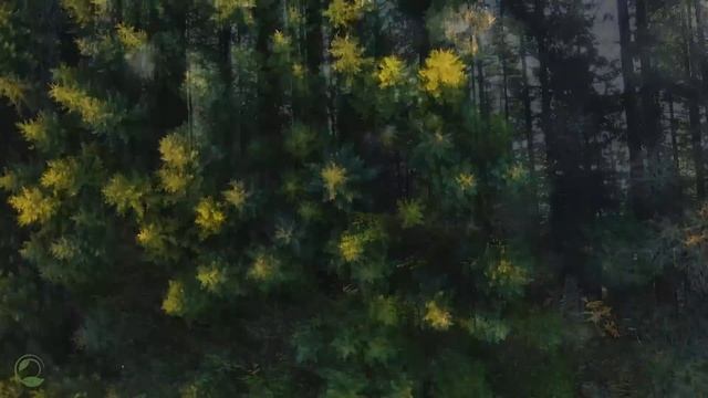 Нежная музыка, успокаивает нервную систему и радует душу - лечебная музыка для сердца и сосудов #27