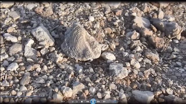 Древние карьеры, технологии и геология Крыма поражают воображение