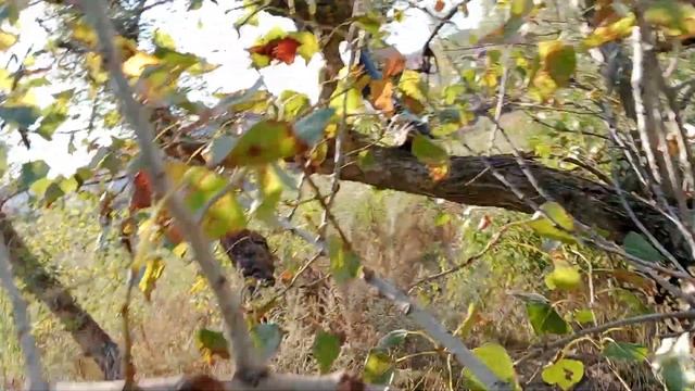 Природа Белой Калитвы-часть 2. 