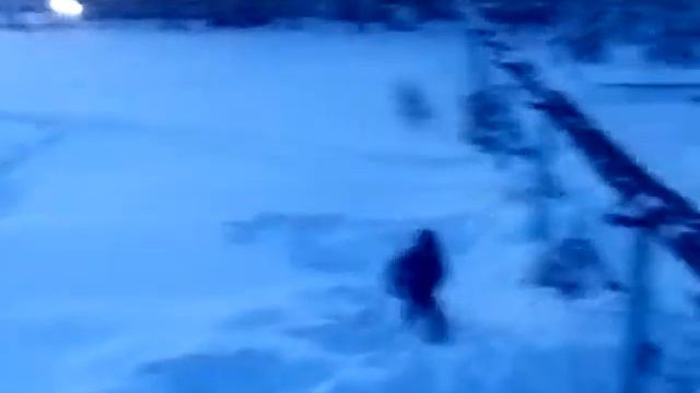 85fa9792eb1dd3e35f7bd0a419633152