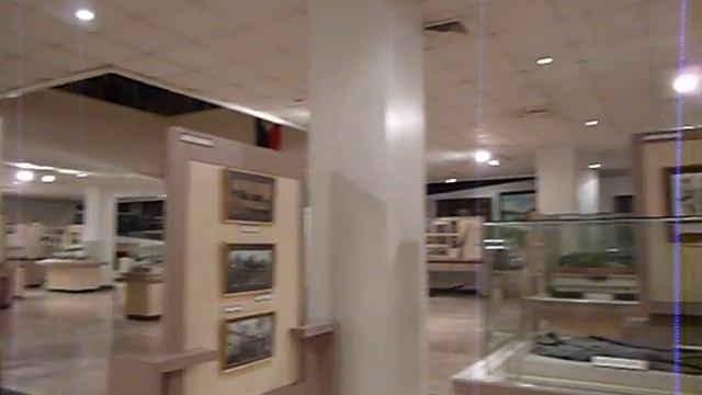 FZ35 -- Camera Flaw Or Defective Camera?