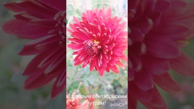 8db5367d9a75d29cdf7c131941c7268a