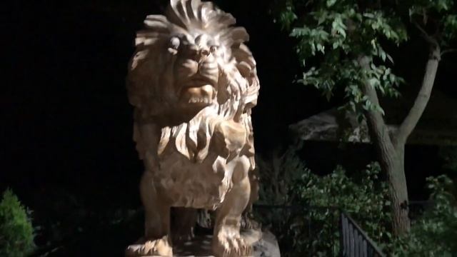 Прогулка по ночному парку Тайган!