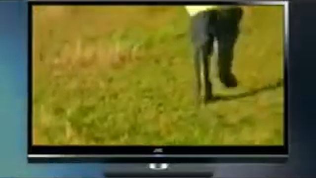 Куда и как работать