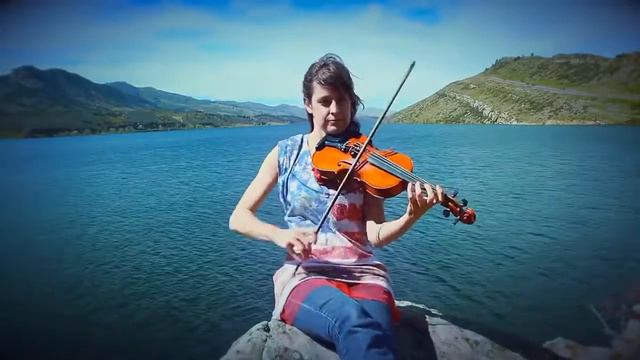 СКРИПКА   ЛАСТОЧКИН ХВОСТ