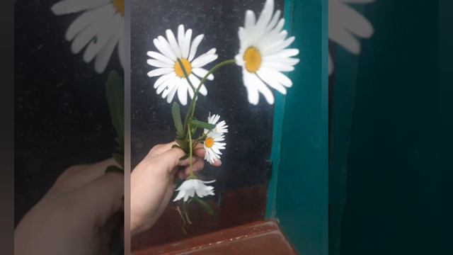 мой маленький мир ❤❤