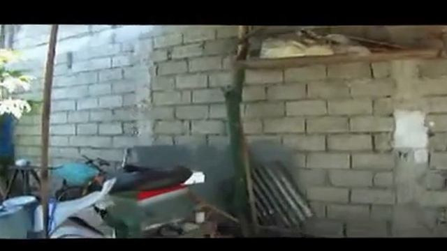 V911 Wl Toys Garage Flight Test