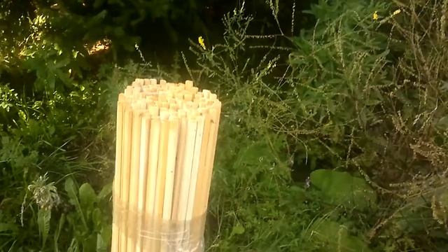 Рассказ 2 й про  улья