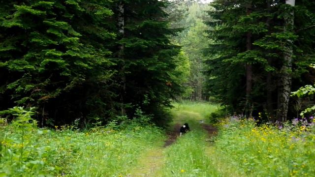 De23b4bb9f23b9d6a35b8174612a324d