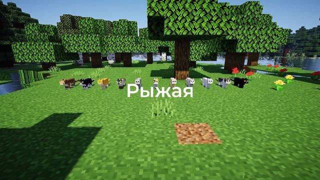 0e7bc48aff96b53d3222e7970c14562b