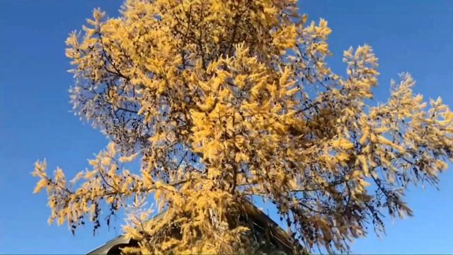 Набережный 4 Дюсяново Аитово #дёма #2023