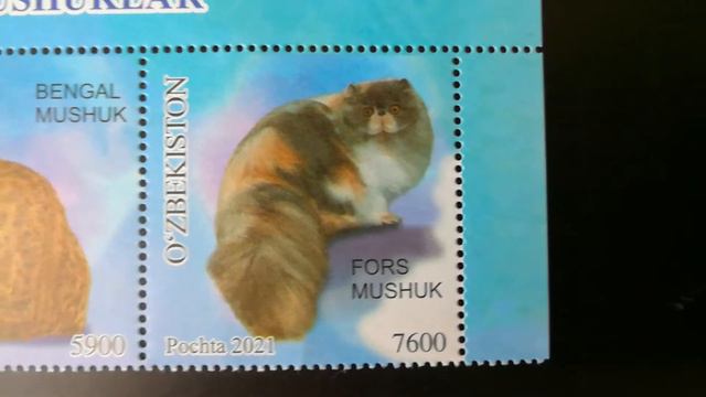 Почтовые марки Узбекистана с кошками, 2021 год.