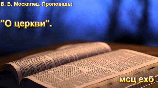 В. В. Москалец. 