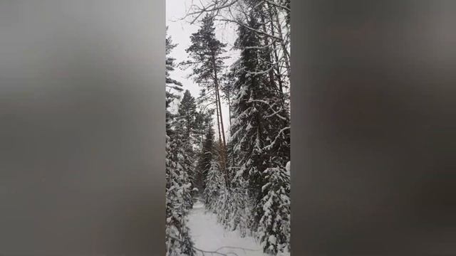 13 января 2023 г.