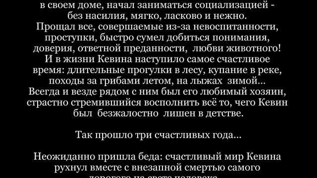 Кевин ДОМА!