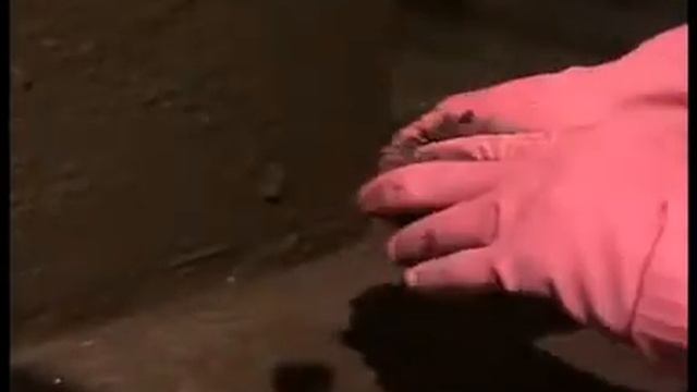 пенекрит  пол   стена - штраба