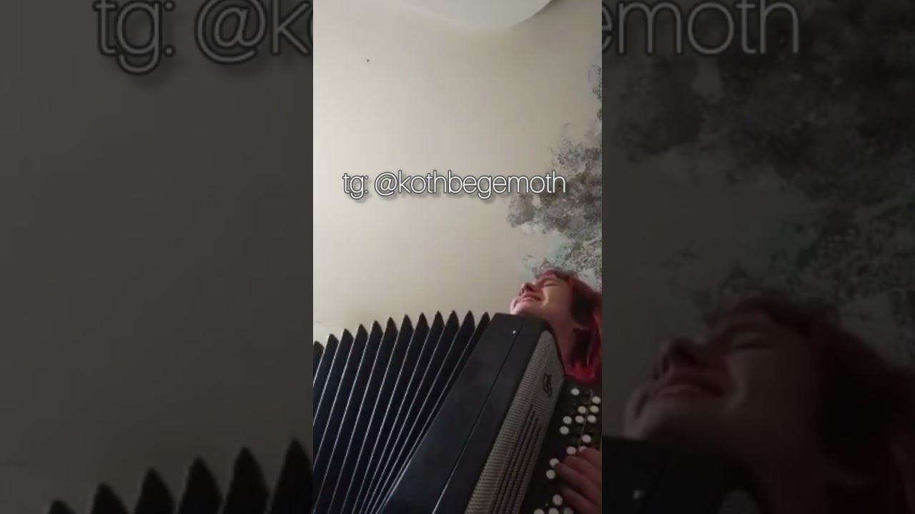 Е. Фролова - не улетай выысь кавер #баян #романсы #инди #кавер #русскийрок