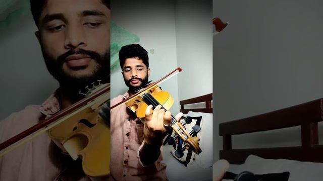 Maroon 5 - Memories | Violin Cover | Nadun Vishwanath