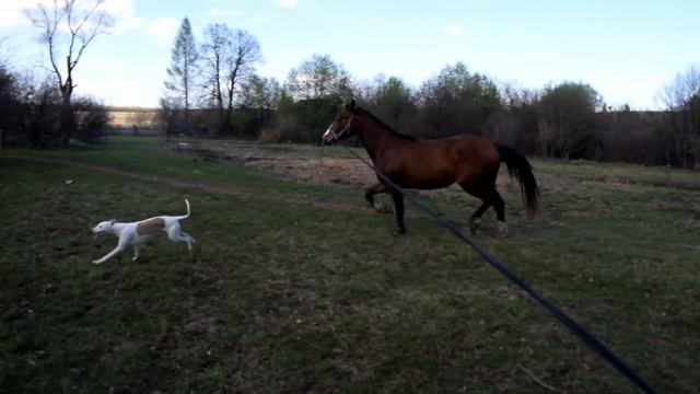 3ada50ab0a24d2c9500f4940e61c49da