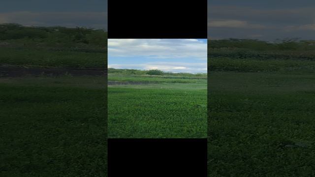 🏞️ Природа 🏞️