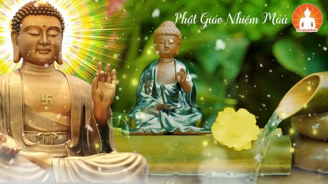 Nhân Quả Báo Ứng, Đánh Đập CHÓ HOANG Cả Nhà Bị Báo Oán | Xem Để Tránh