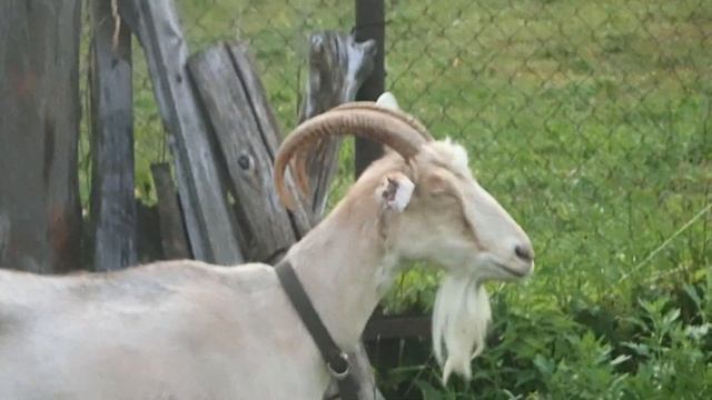 24dae2c36b733ea8de3455a1dd22959d