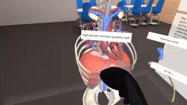 Oasis VR - 3D Organon VR Anatomy