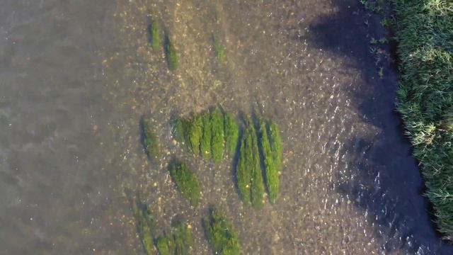 Kynutá Buchta Na Ohni Nejen Pro Vodáky | Recept Na Dušeňáky | Kánoe Gumotex Pálava