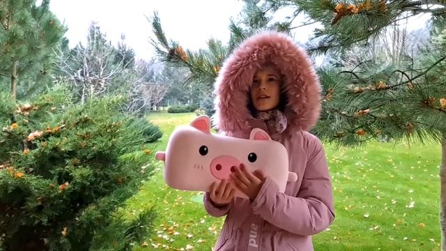 СКАЗКИ НА НОЧЬ. Три поросёнка.