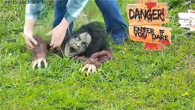 Чучело с надписью: ДАНКЕР, ВОЙДИ, ЕСЛИ ОСМЕЛИШЬСЯ#Raccoon Saloon