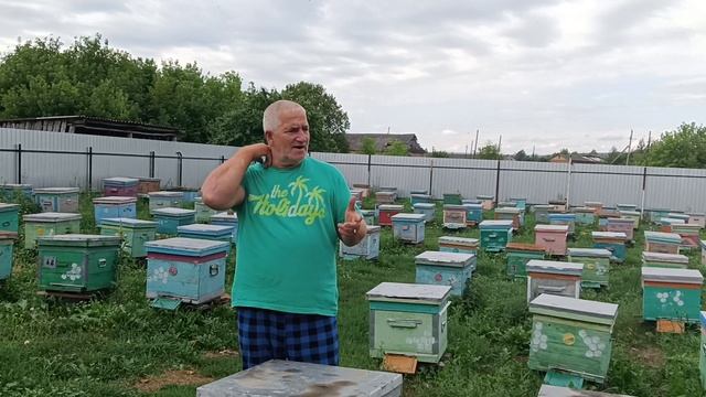 Поздние матки
