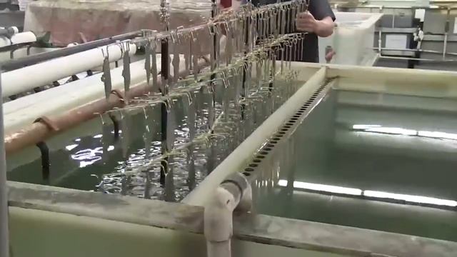 Производство ножниц MALCO