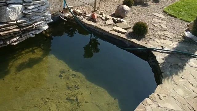 Пришла весна - вода очистилась - биоплато справляется ?