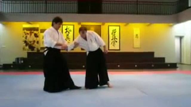 Real aikido. Сергей Бородулин. Sankyo shomen uchi.