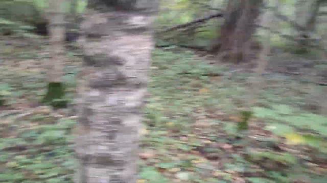 Acf740d6b01840d95a8e471666d527f0