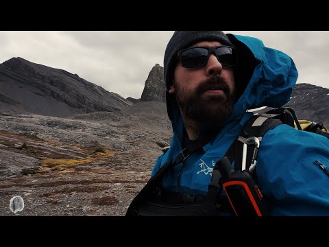 9a53e4d13cd971d55a7723a1b8e66668