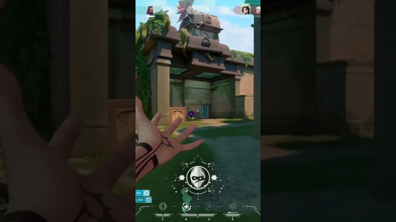 C44ff56ddf853a66f223990a8244a63a