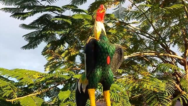 1b57ff7d4d973b1e2a991295c403564a