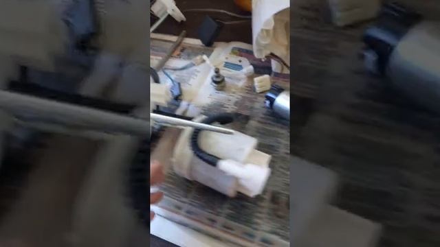 Павел Жигарёв