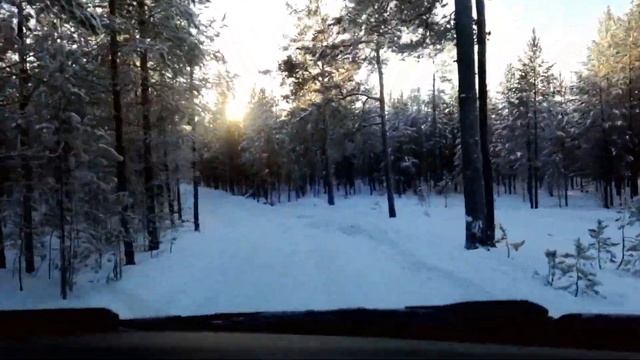 Дорога к базе отдыха 