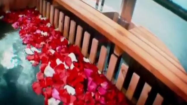 Кедровый Рай