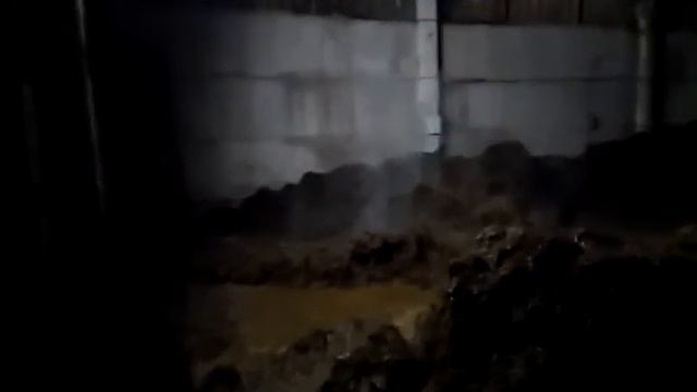 Выпуск 1. Складируем навоз КРС в бурты для переработки в компост