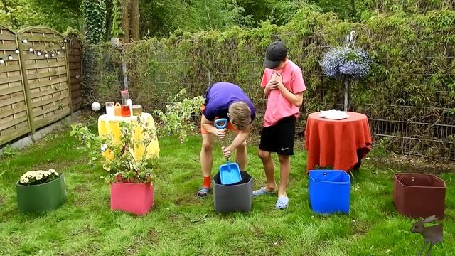 Funny Challenge In The Garden | Funny Challenge 2020 | How To Grow Candy & IPhone Tree