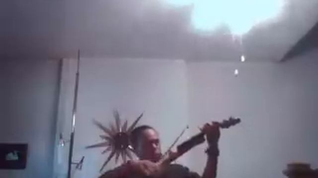 Violin Modification Madame Butterfly