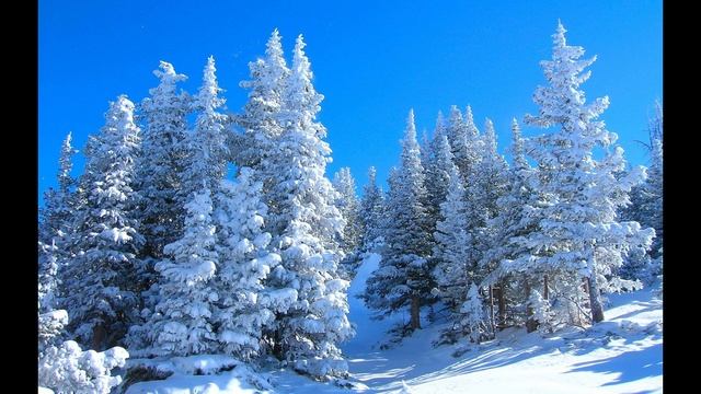 B6f38d41a5b24fe70fc36ed1f00e1fb9