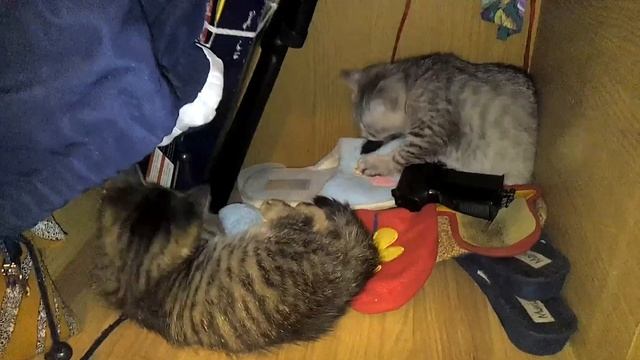 A516222c08960775f886fd7807aaccc1