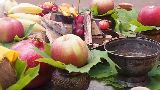 БХАГАВАТ проводит ягью