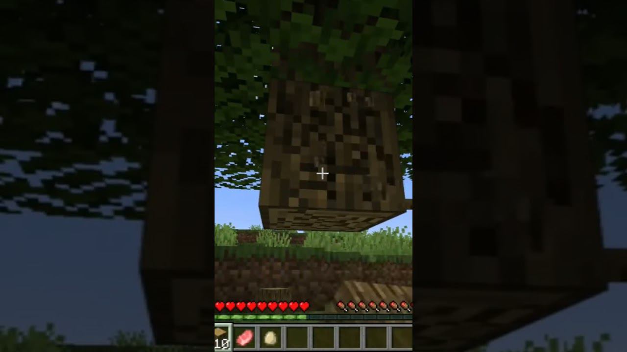 Вся суть майнкрафта #minecraft #shorts #games